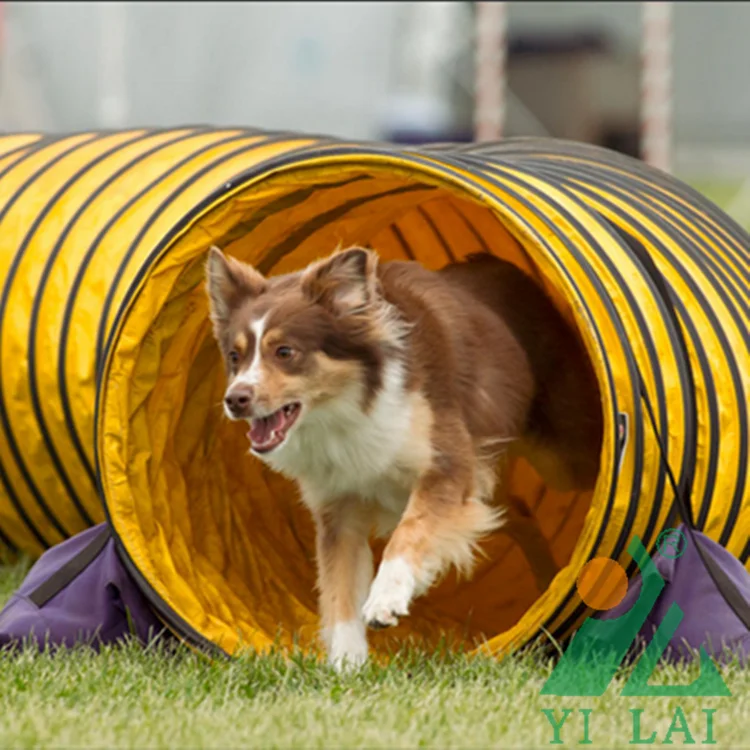 600MM diameter outdoor pet play and training dog tunnel