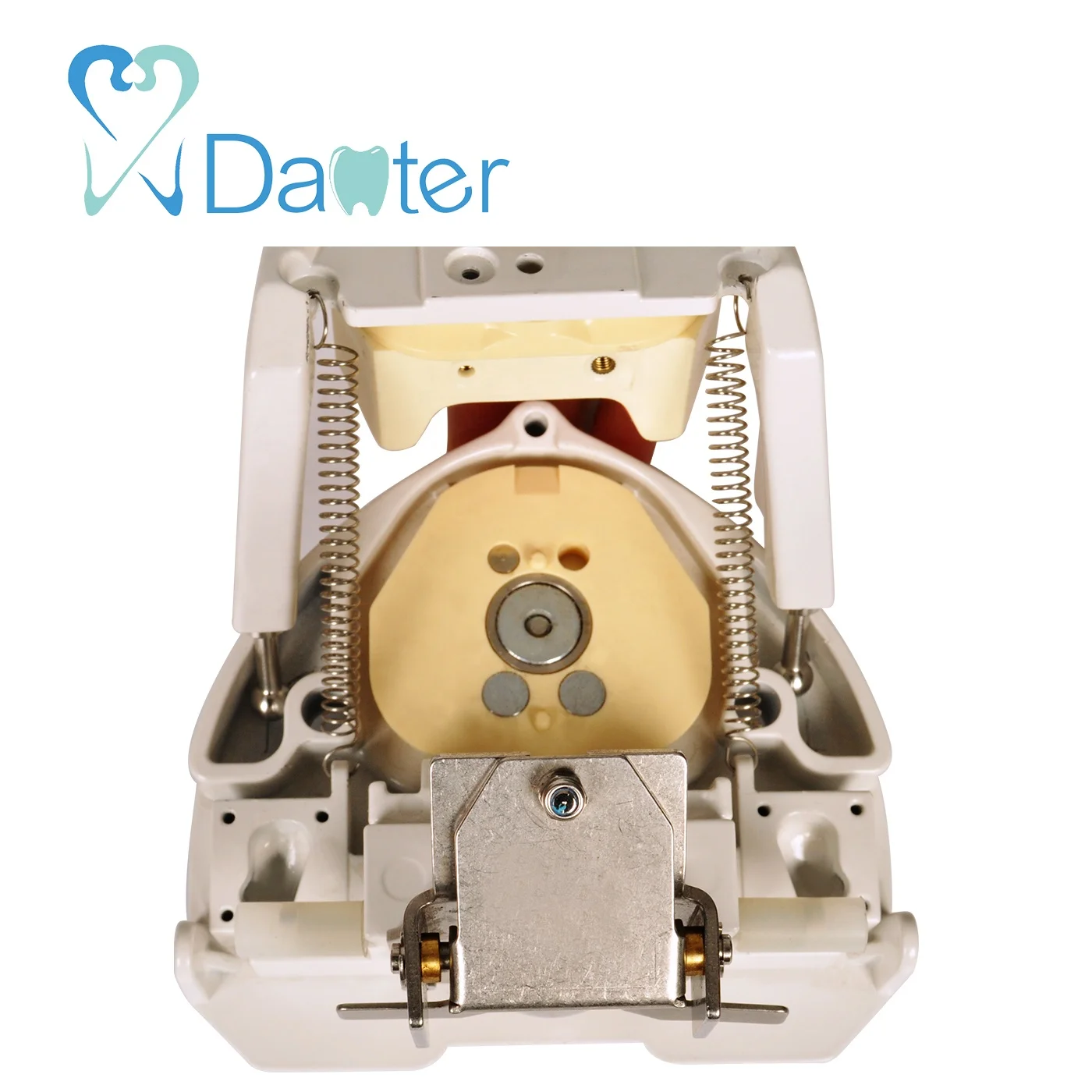 Best Quality Dental Articulator Dental Phantom Head Manikin for Sale