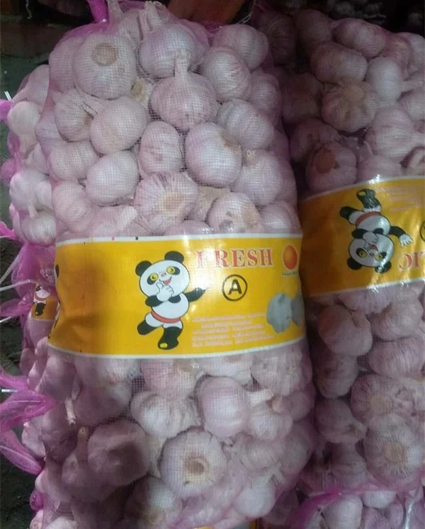 
Agriculture Products Fresh Garlic on sale China fresh garlic price 