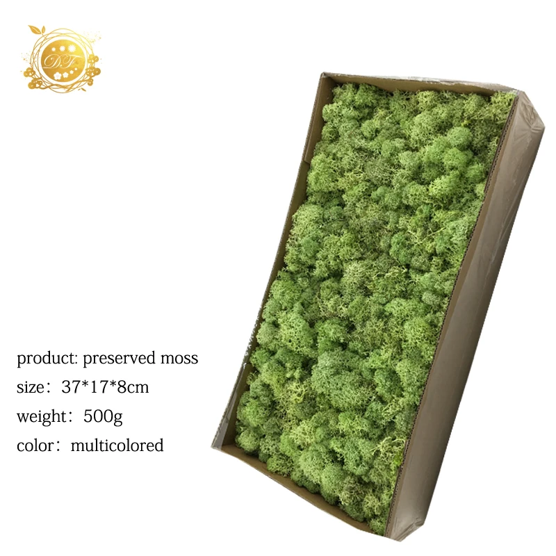 Yunnan A grade dried flowers wholesale preserved moss  for indoor decoration
