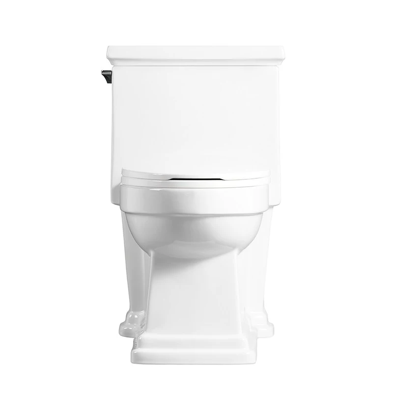 Washdown Floor Mounted Siphonic Flushing One Piece Composting Toilet Waterless