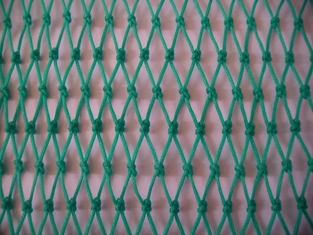 fishing net. pe fishing net. fish net