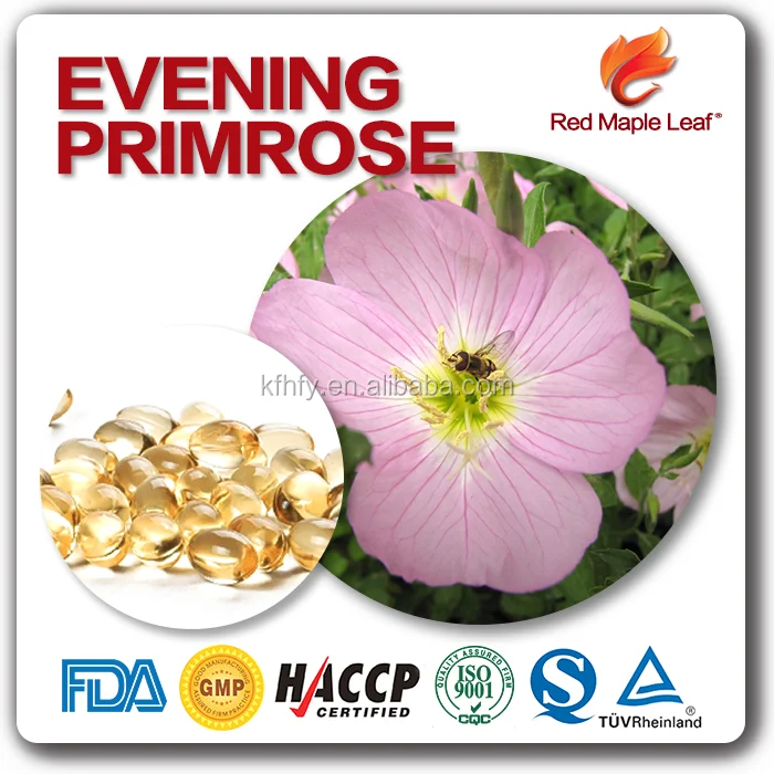 Nutraceuticals GLA 500mg / 1000mg Evening Primrose Oil Softgel Capsules