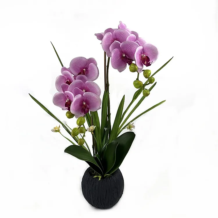 Wholesale Phalaenopsis Orchid Flower High quality Orchid Artificial Bonsai Phalaenopsis Orchid Set Real Touch Flowers