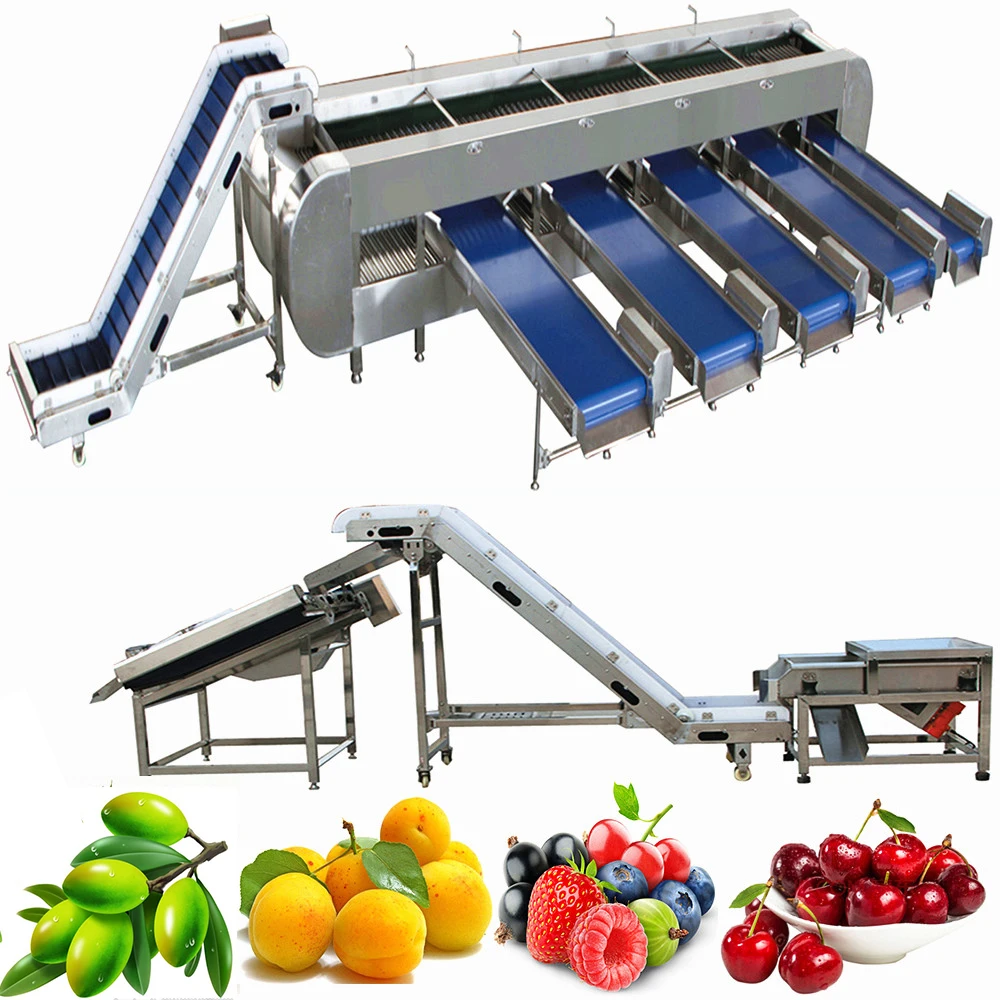 Fruits Washing Machine for Apricot Processing Line with Blackberry Strawberry Cleaning Sorting Equipment Machinery