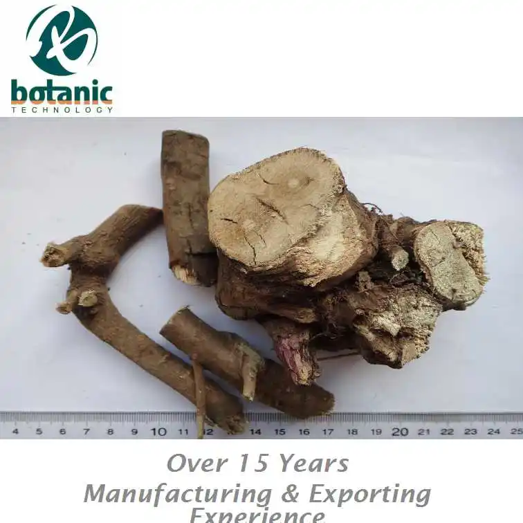 
Light yellow Acanthopanax Root for health tea Eleutherococcus root 