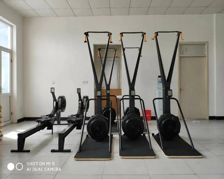 Gym Cardio Trainer Air Ski Fitness Machine