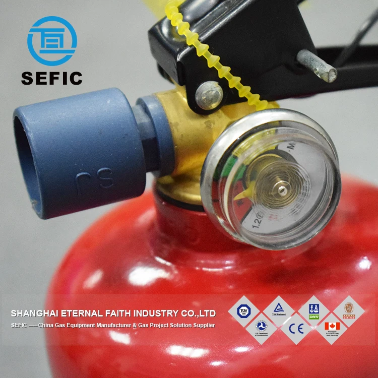 China Supplier 5kg CO2 Fire Extinguisher