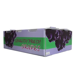 Wholesale durable Correx Plastic Pizza Delivery Box For Scooters And Motorcycles