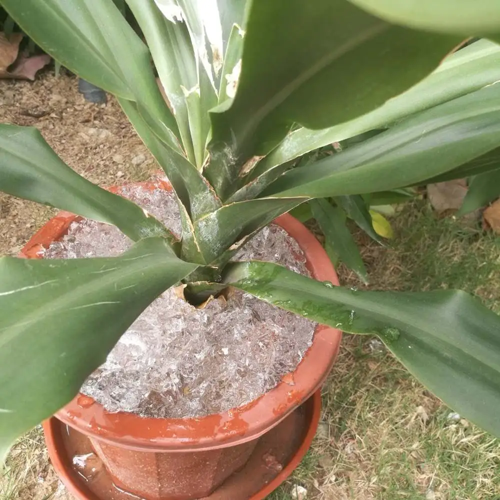 alibaba wholesale /SAP super absorbent polymer material powder