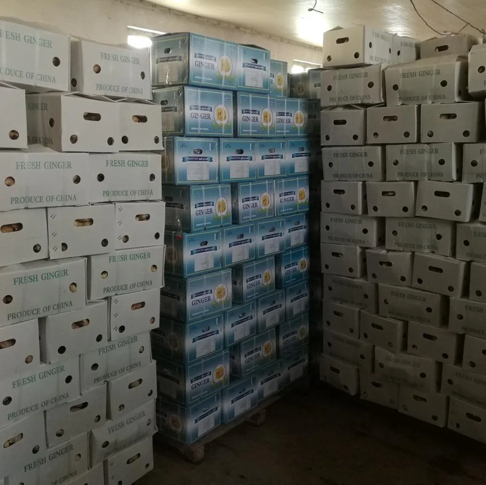 Китайский свежий имбирный имбирь для продажи