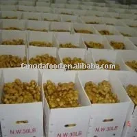 FOB/CFR/CIF price ginger in China