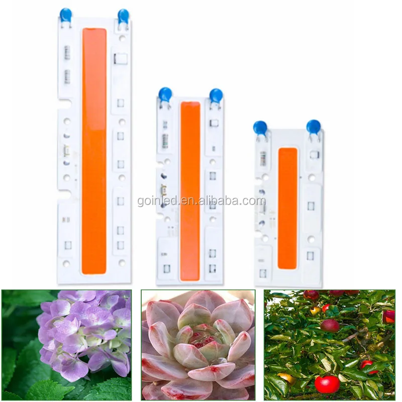 
DOB design AC 110V 220V input voltage Driverless cob chip 30W 50W 70W Full Spectrum 380-840NM COB plant grow light chip 