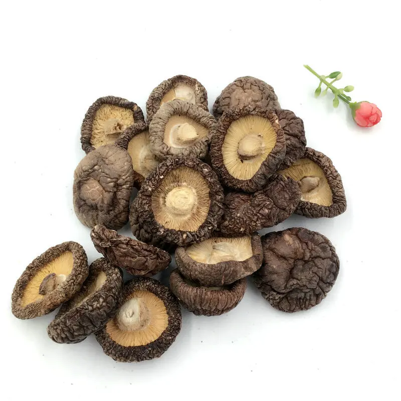 
bulk dried shiitake mushrooms 1kg 