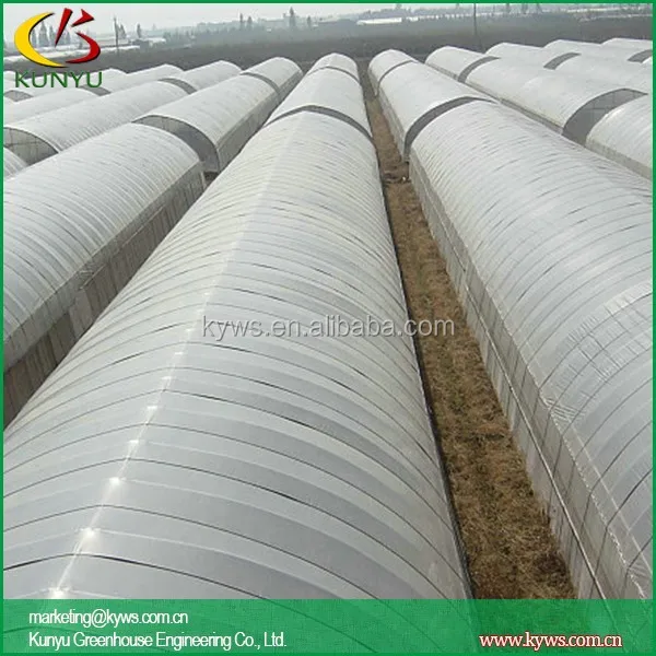 Double Arch roof type tunnel greenhouse round greenhouse bradford greenhouses