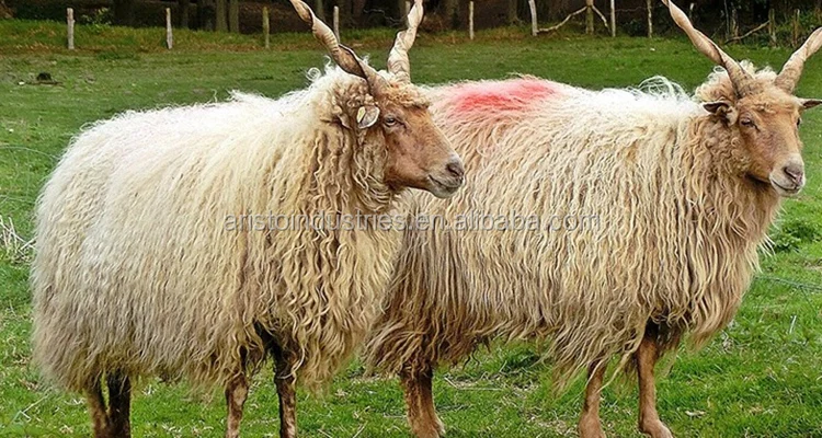 Aerosol Animal Marking Paint Spray