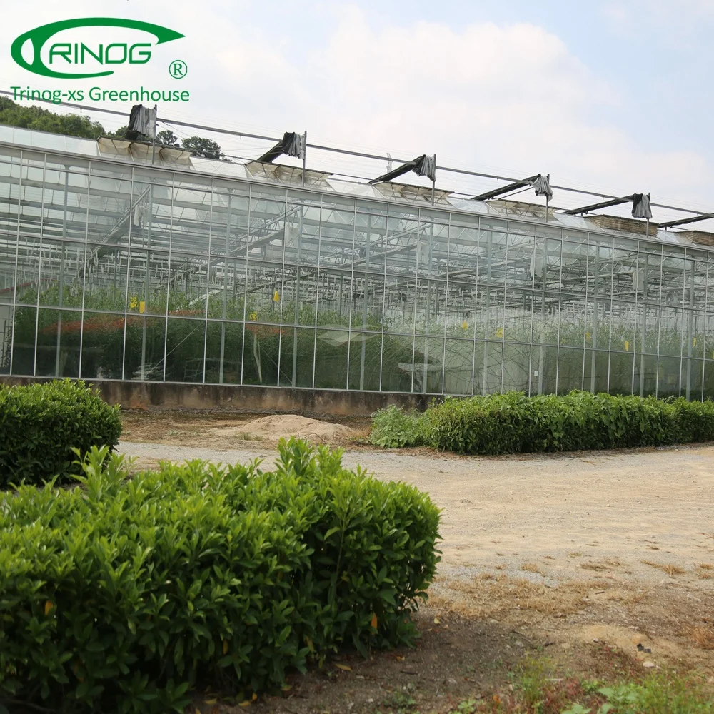 Venlo aluminium glass greenhouse framegreenhouse agriculture hydroponic for farm