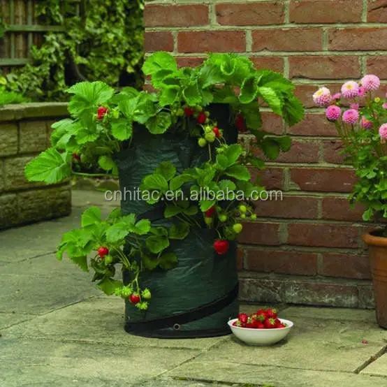 Pop up Strawberry Planter Bag,Grow Bags Strawberry Planter,Plant Pocket Strawberry Grow Bag