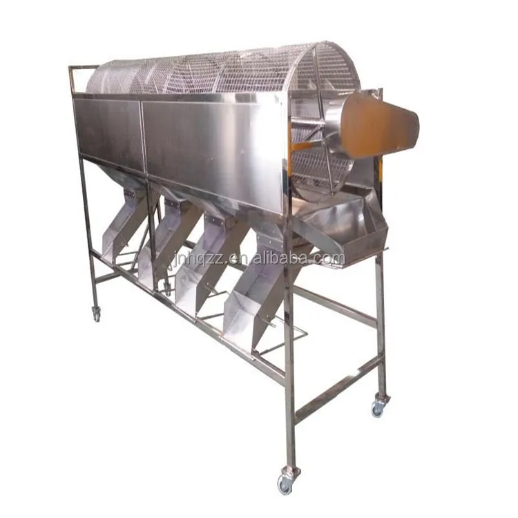 Rolling automatic garlic size sorter machine