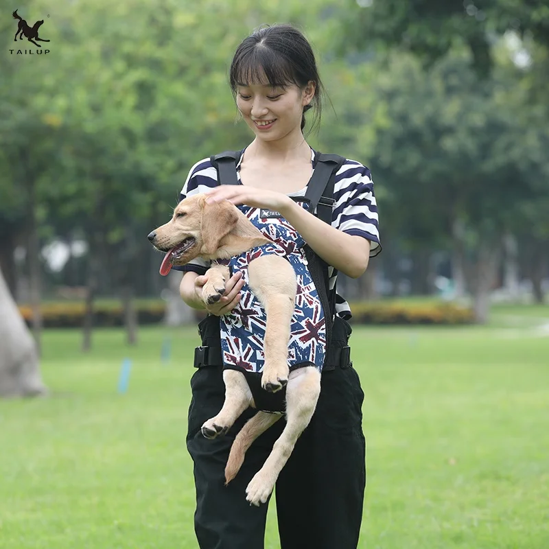 Customized Logo Print Lovable Dog Carrier Backpack For Dog