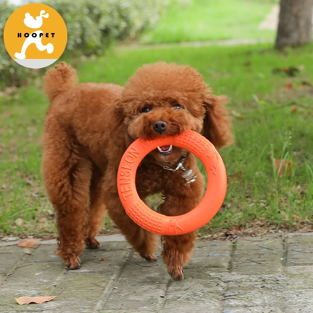 Pet Shop Supplies EVA Interactive Training Dog Toys Durable