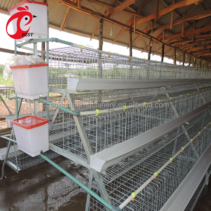 Professional farming house feed system 4tier chicken cage coop for wholesales
