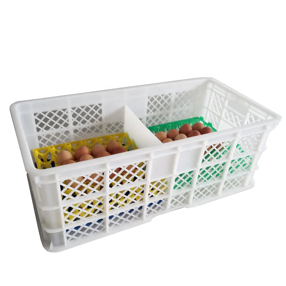 egg box plastic (5)