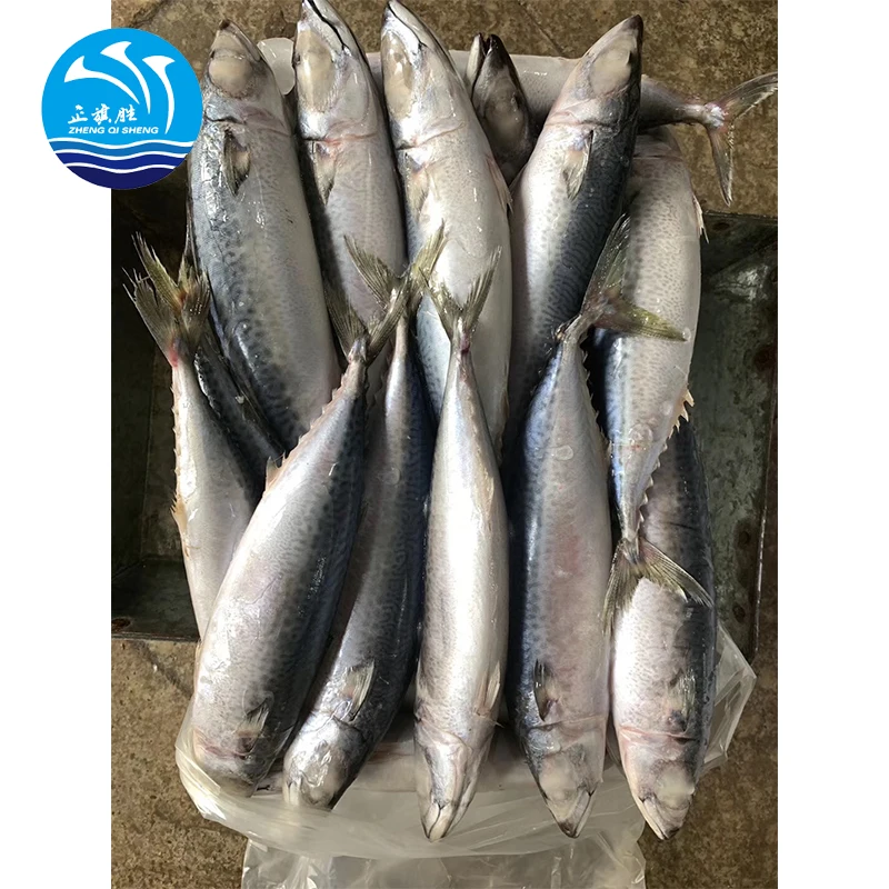 Импортеры замороженных морепродуктов из Тихоокеанской скумбрии