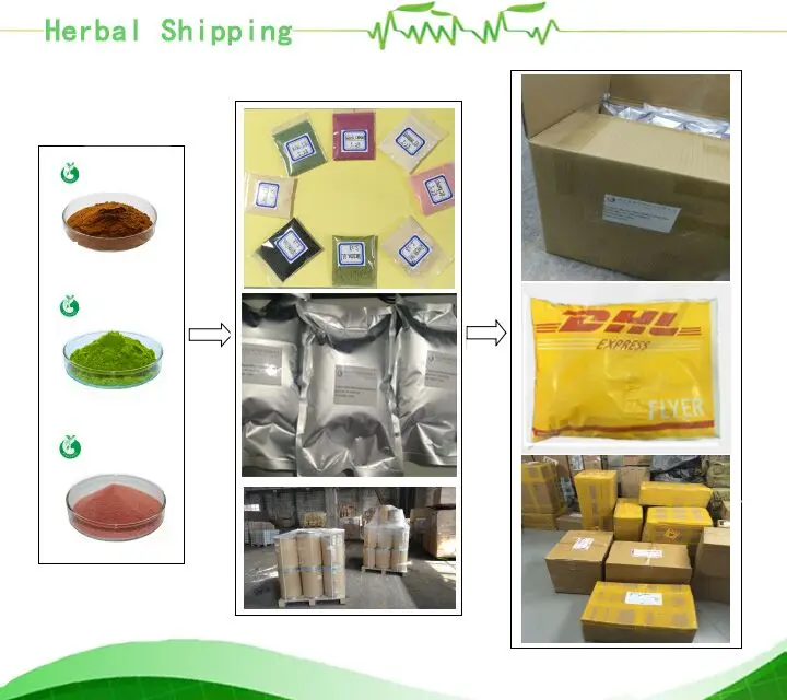 
High Quality Oyster Extract Powder Oyster Meat Powder Oyster Powder 