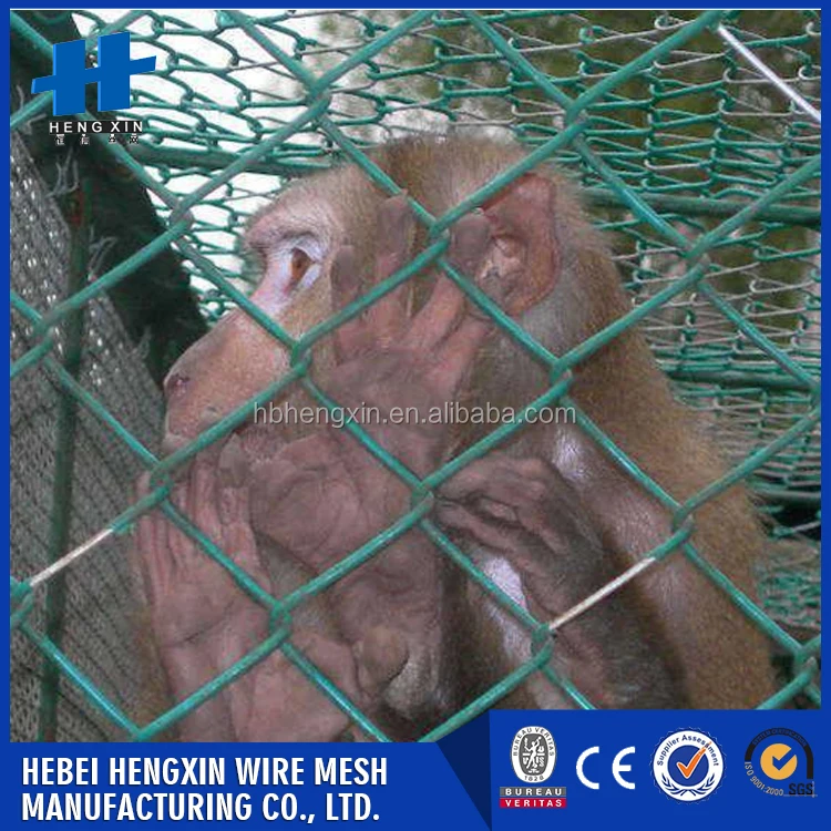 Лучшие продажи продуктов стальная цепь звено забор из alibaba Китай