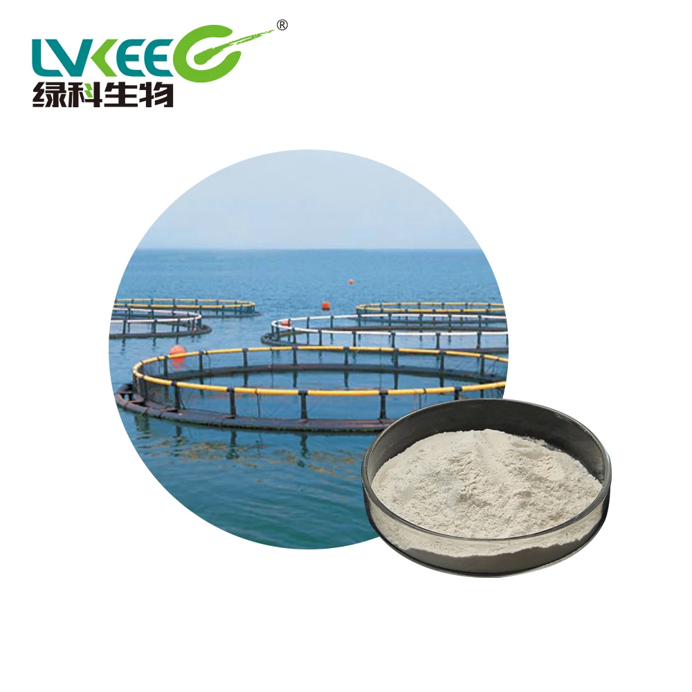 
Compound Bacteria Probiotics Denitration for Fish Shrimp Pond Water Treatment 