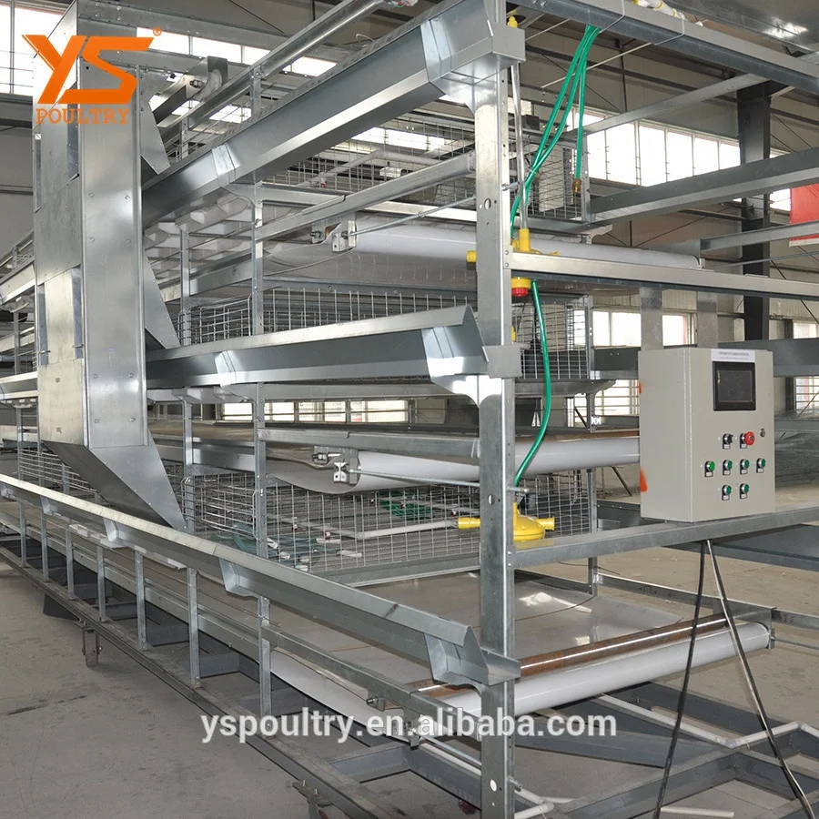 
H Type Automatic Egg Chicken Laying Coop 
