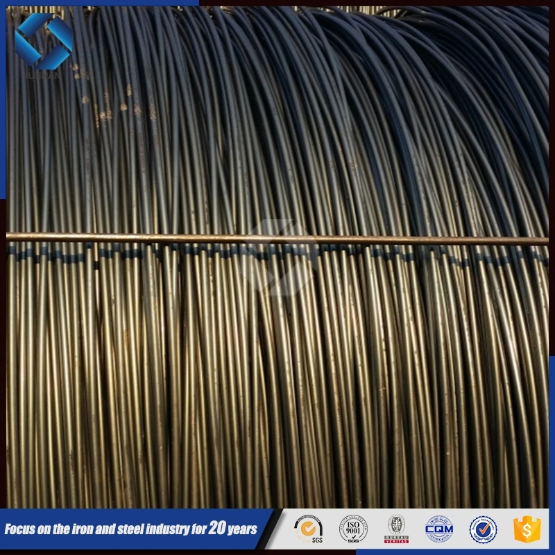 Волочения проволоки sae 1008 Катанки 5.5 мм Стальная Низкоуглеродистая Катанка