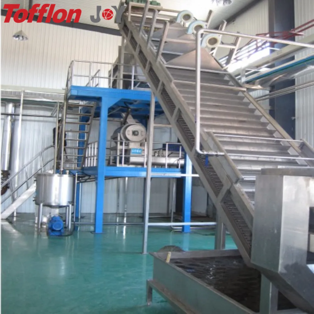Complete turnkey peach/apricot/plum fruit processing line