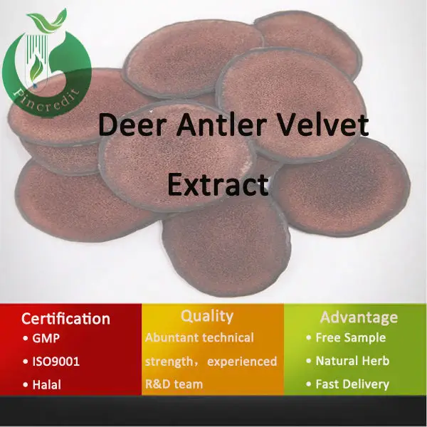 
Manufacturer Wholesale Pure Velvet Antler Powder 