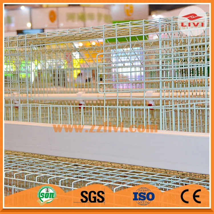 Cages for laying hens: buy in China