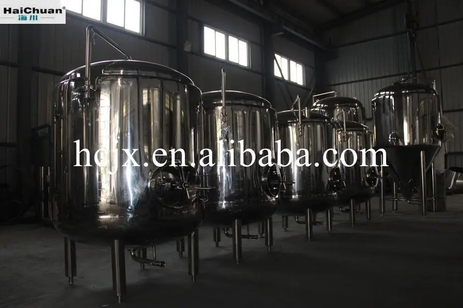 Beer Fermenter/Fermentation Tank/Beer Brewing Equipment