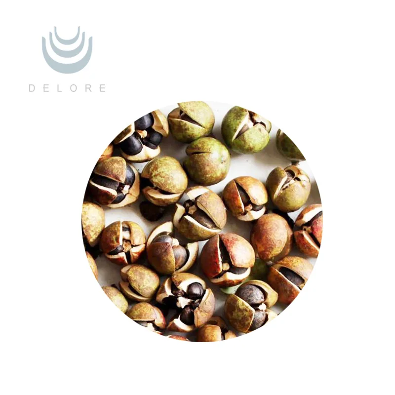 Factory supply 100% Natural Camellia seeds extract 95% Tea Saponins