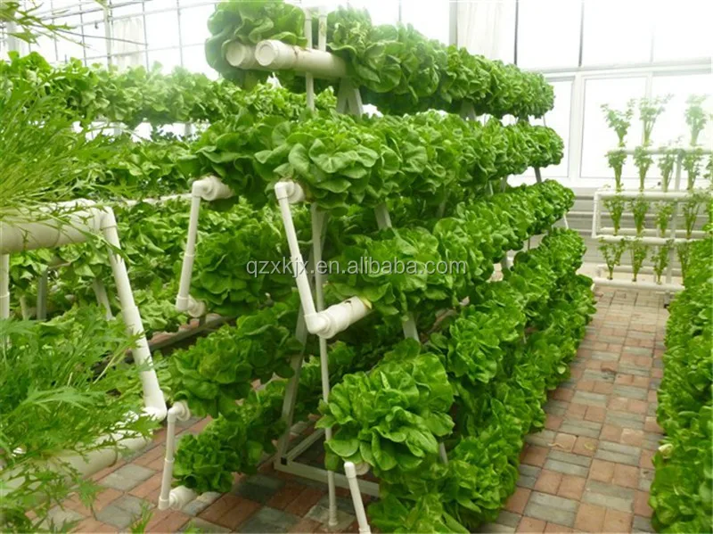 hydroponic container intelligent Hydroponic Growing Systems Greenhouse vertical hydroponic system on hot sale
