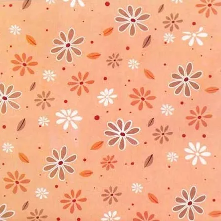 
Gift Wrapping Paper Use and Waterproof Feature Wrapping gift 17gsm tissue paper with logo 