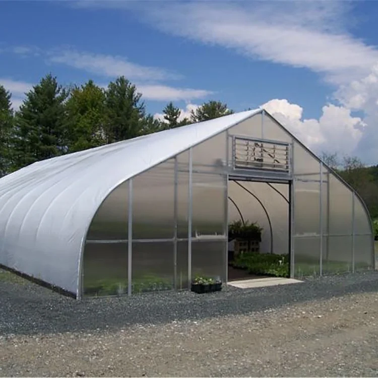 Plastic Film Greenhouse for Agriculture Multi-span Agricultural Greenhouses JY Good Price Plastic Hot Galvanized Steel Structure