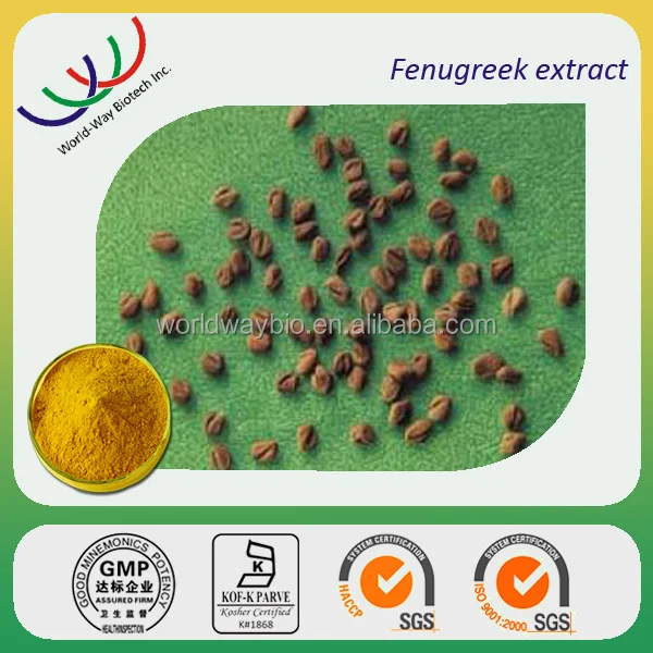 HACCP China supplier hot sale 20% 4-hydroxy isoleucine Common Fenugreek Seed, high quality trigonella foenum-graecum extract