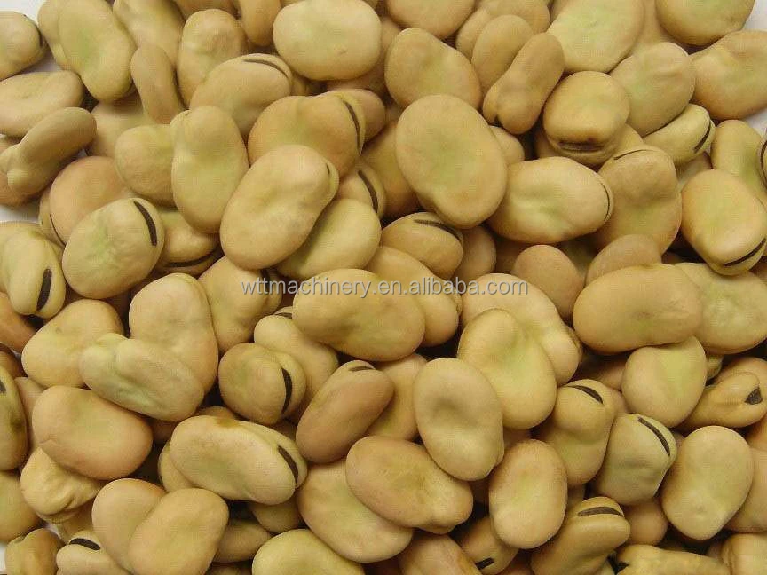 Dry broad bean/fava beans/faba beans peeling machine with price
