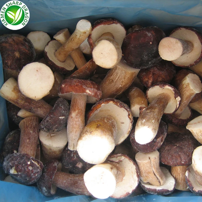  Замороженные Свежие грибы Funghi Porcini