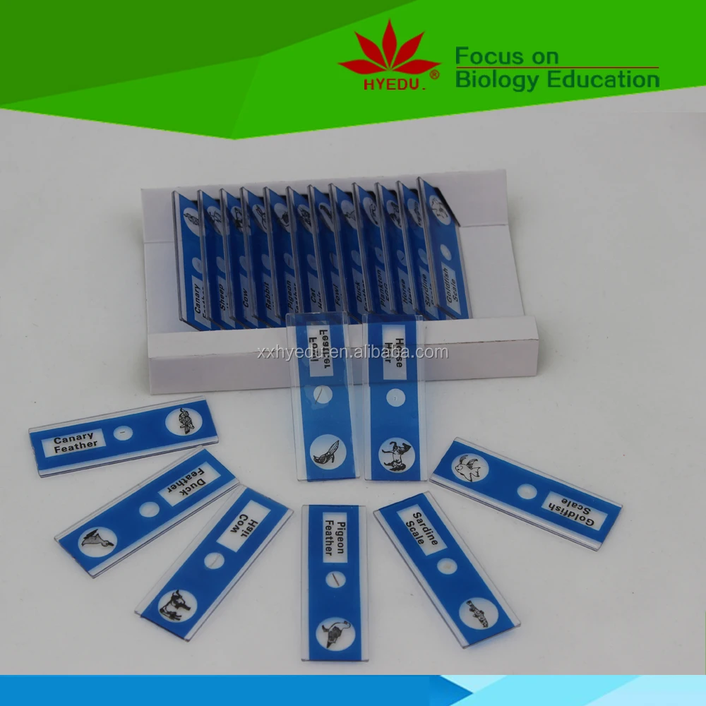 Home teaching science gifts for children 12 pieces plastic children animal plant  microscope slides