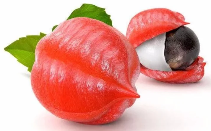 
weight loss natural guarana p.e. guarana seed extract/water soluble guarana extract 