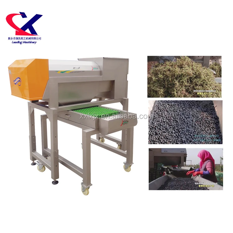 Special Offer Best Quality Grape Crusher/Grape Stemming machine