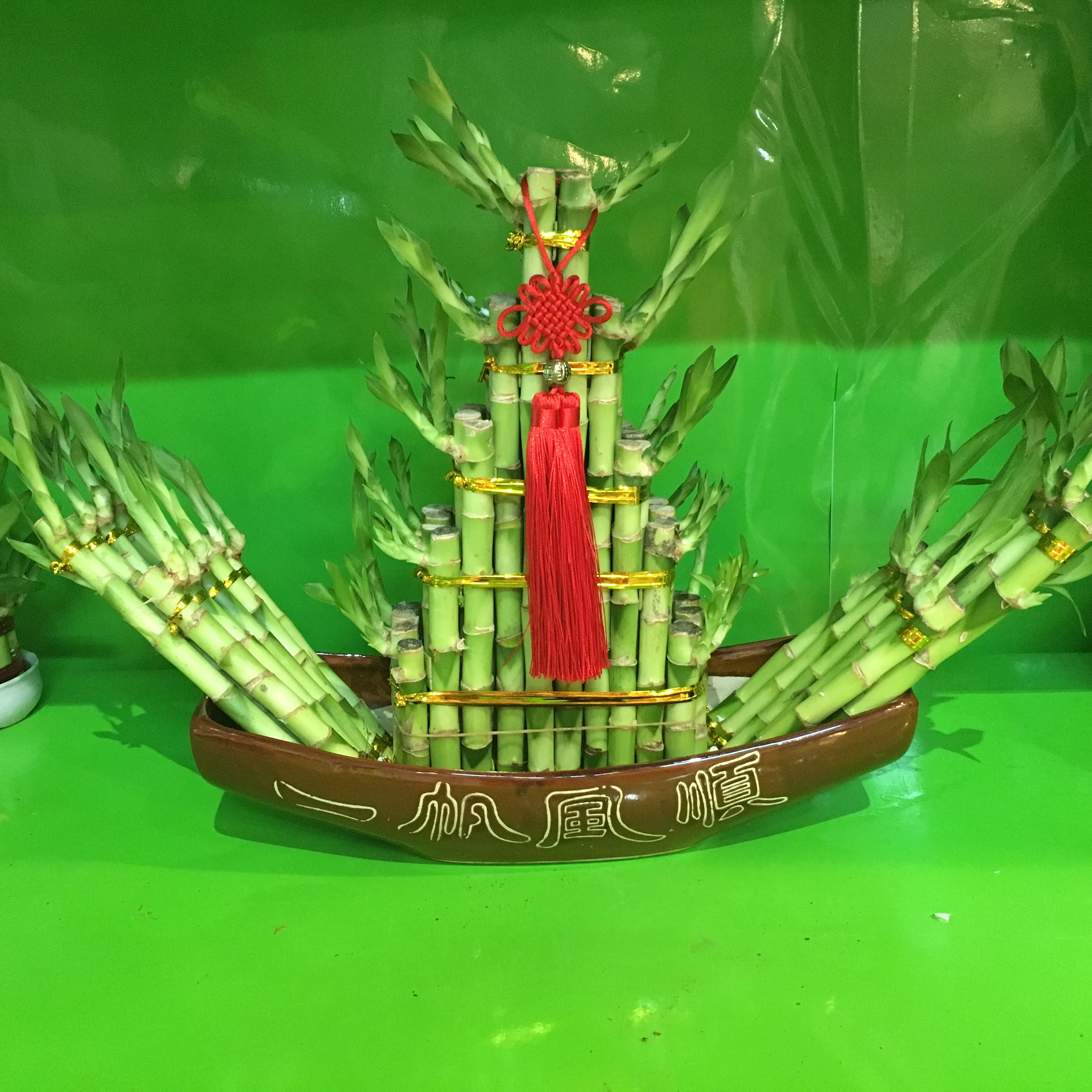 Воздушный бонсай в форме лодки, счастливый бамбук, драцена, сандерия