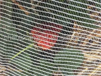 Сетка от птиц, 2 м x 10 м, зеленая пластиковая сетка с отверстием 15 мм, защита от урожая, фруктов