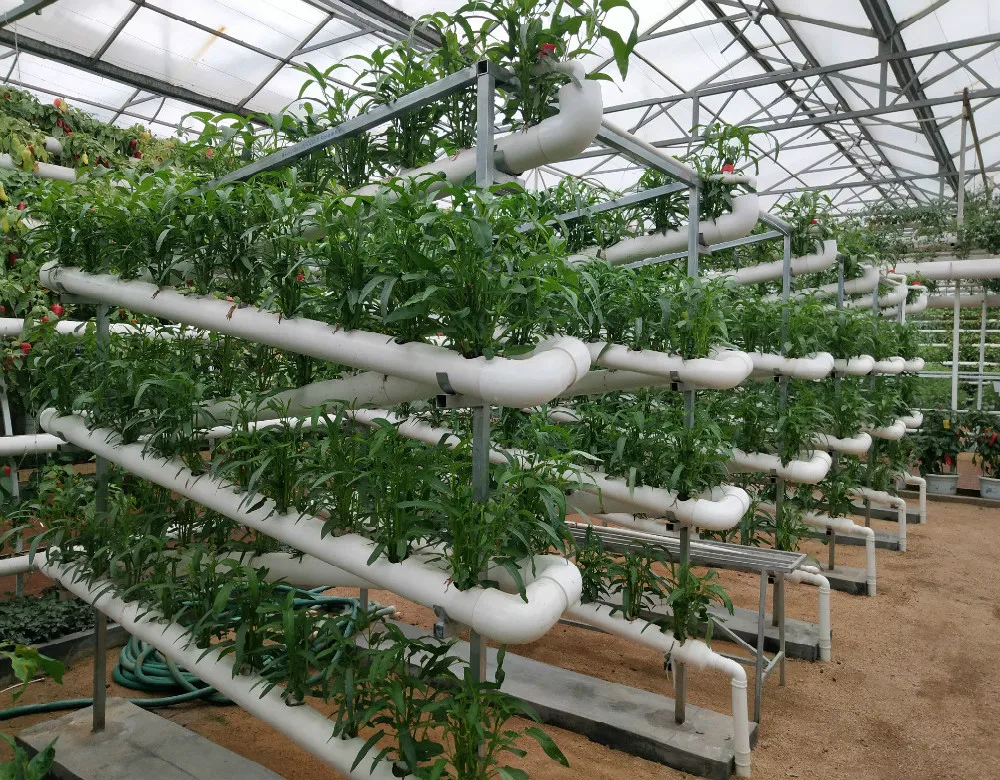 Low cost agricultural hydroponics PC Sheet greenhouse for strawberry/tomato/lettuce/cucumber growing